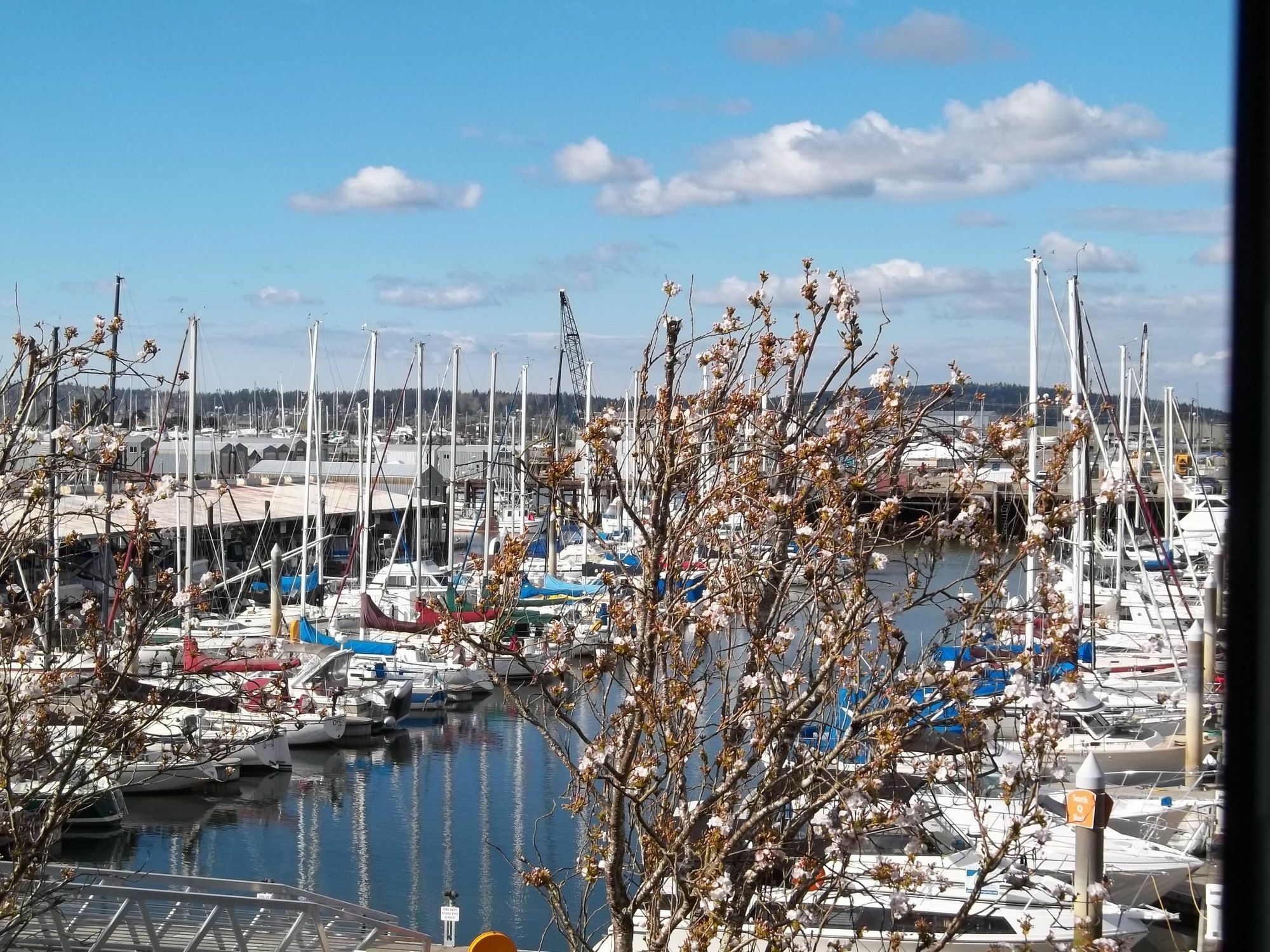 Inn At Port Gardner-Everett Waterfront, Ascend Hotel Collection Exteriör bild